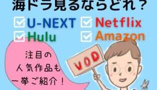 イギリスの 海外ドラマ が質が高くて面白い 約30作品をランキング形式でお勧め アニスの今日の海外ドラマ