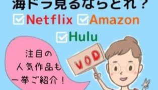 Netflixのおすすめ海外ドラマ約70作品を面白い順にランキング 21年版 アニスの今日の海外ドラマ